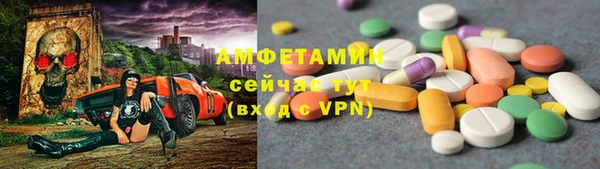 индика Бронницы