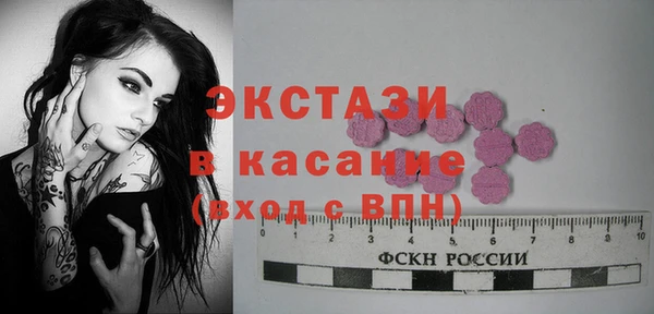 индика Бронницы
