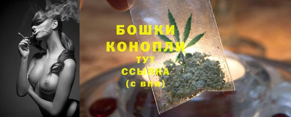 индика Бронницы
