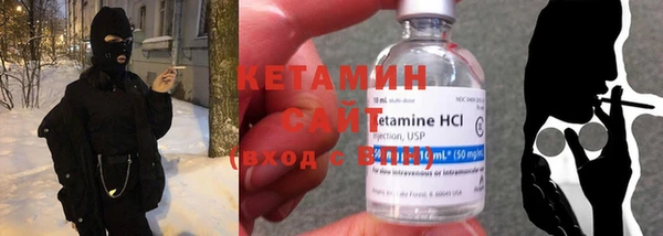 индика Бронницы