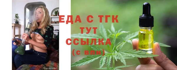 индика Бронницы