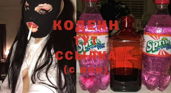 индика Бронницы