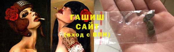 индика Бронницы