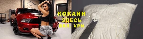 индика Бронницы
