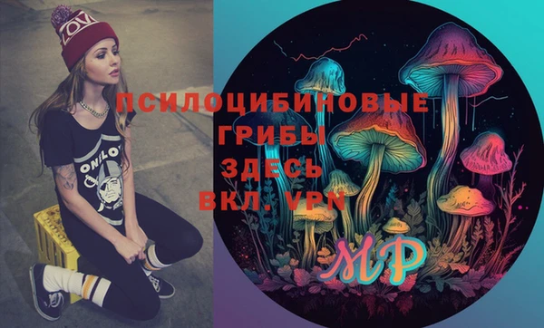 мдма Бородино