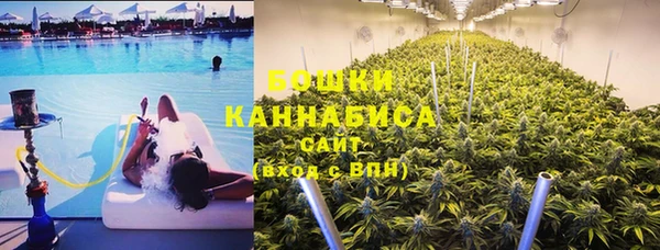 индика Бронницы