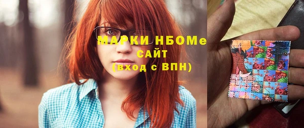 индика Бронницы