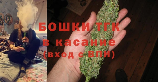 индика Бронницы
