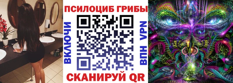 где купить   Кировск  Галлюциногенные грибы GOLDEN TEACHER 
