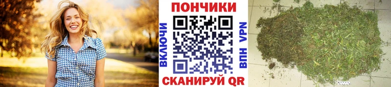 где купить наркоту  Кировск  нарко площадка как зайти  Марихуана гибрид  hydra  